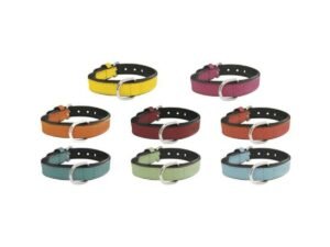 Collar piel acolchado para perros disponible en varias medidas y colores